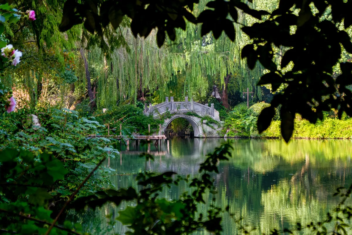 How to Build a Living Willow Arch: A Weekend Project